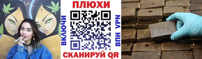 ГАШ Premium  Павлово 