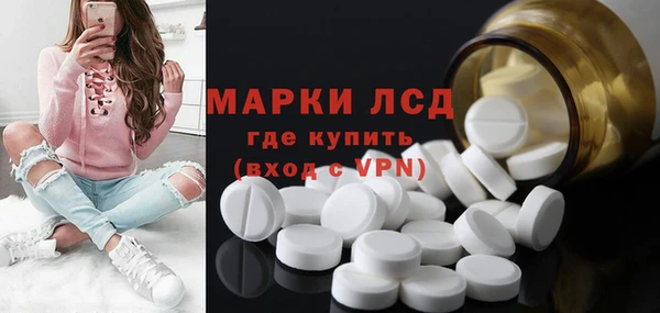 крисы Сатка